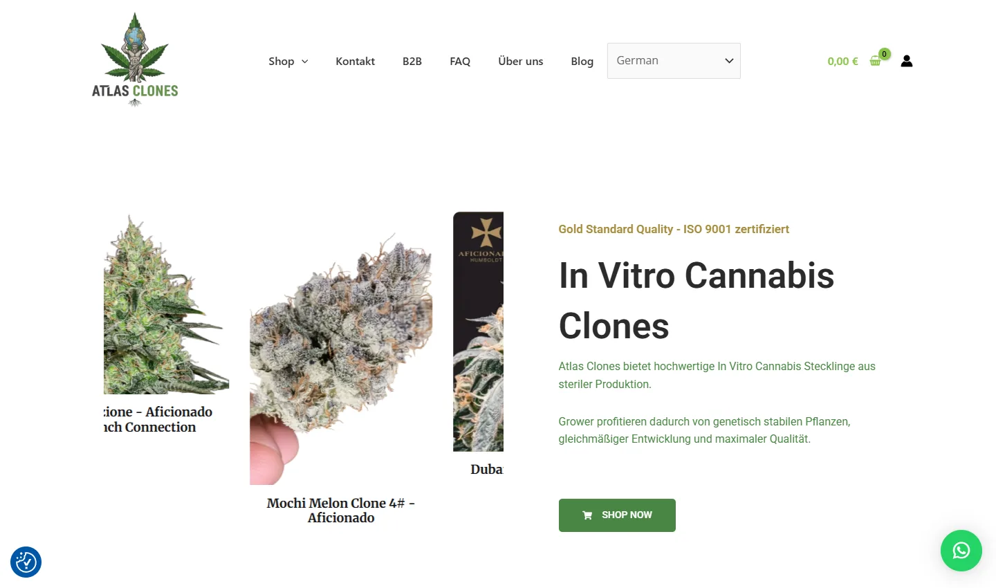 Website-Ansicht von Atlas Clones