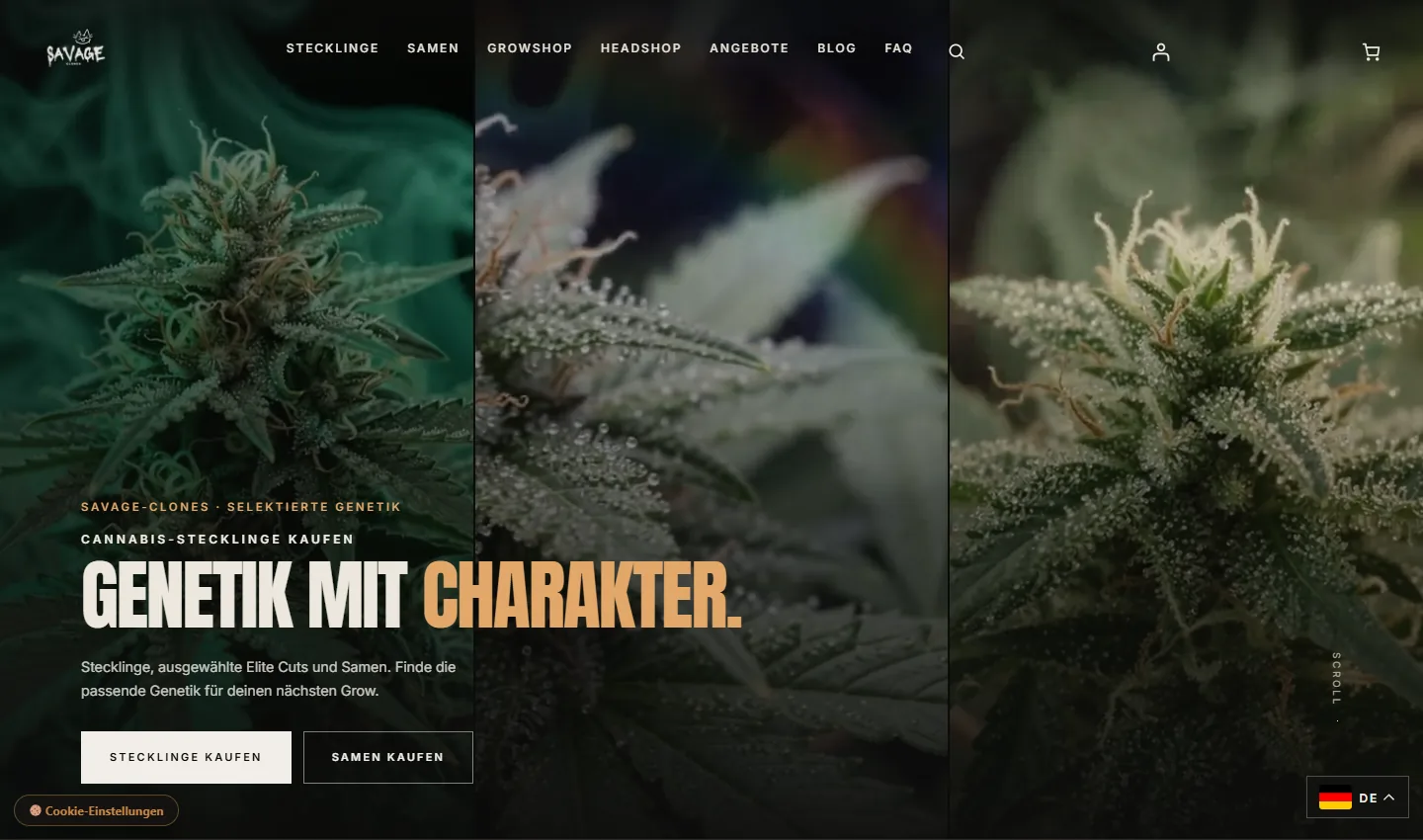 Website-Ansicht von Savage Clones